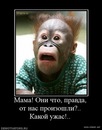Сашко Піскун фотография #12 (источник - https://vk.com/id150759131)