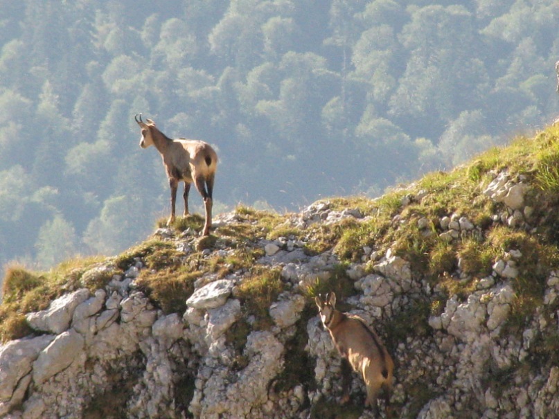 Константин Ковриг фотография #50