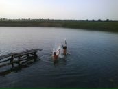 Жека Barda фотография #24 (источник - https://vk.com/id33309535)