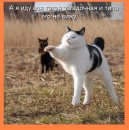 Фотография Александровны Алисы