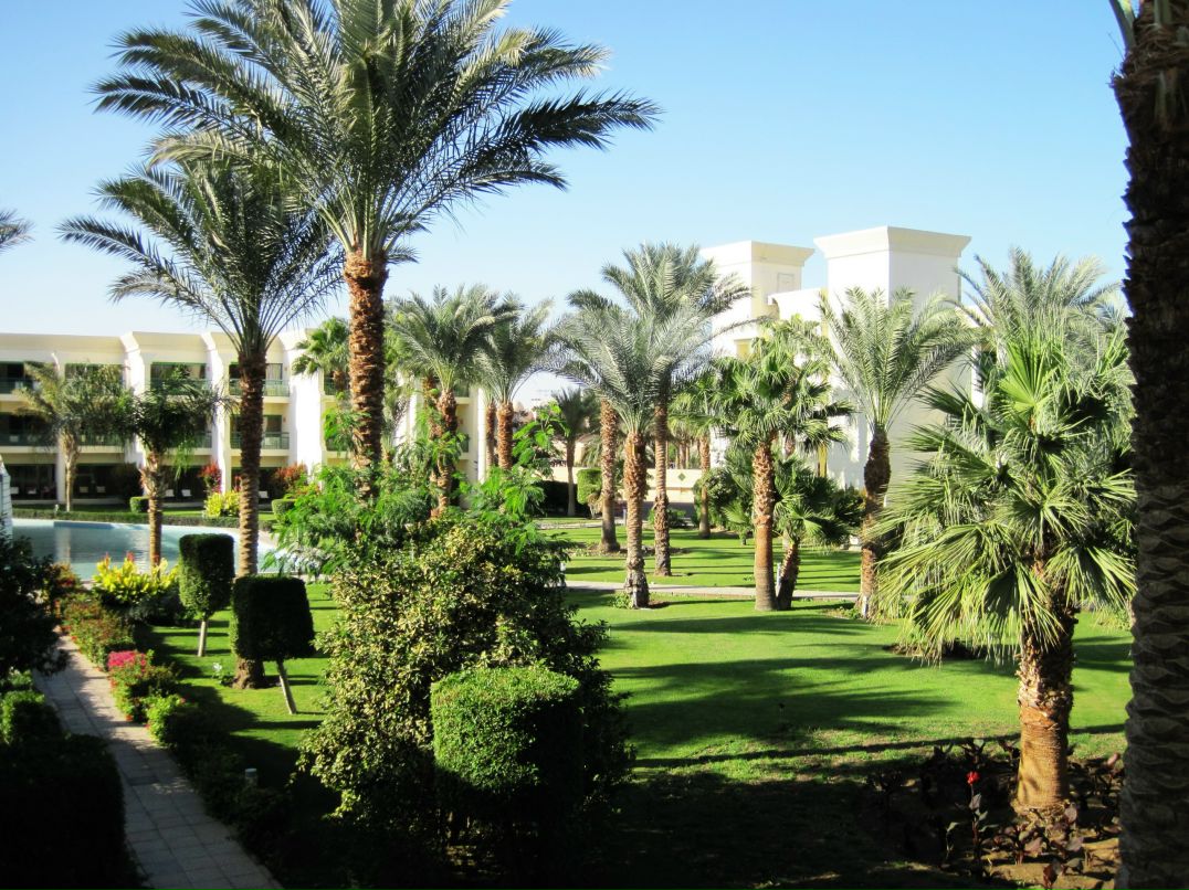 Евгений Кошелев фотография #28