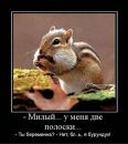 Фотография Фроленко Юлии