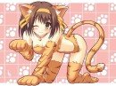 Мио-тян ^_^ фотография #5 (источник - https://vk.com/id95460363)