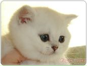 Фотография Уваровой Стаси