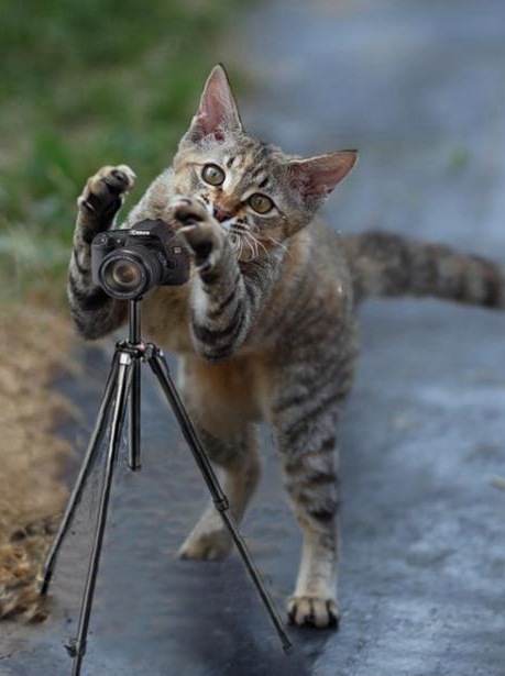 Димка Петров фотография #42