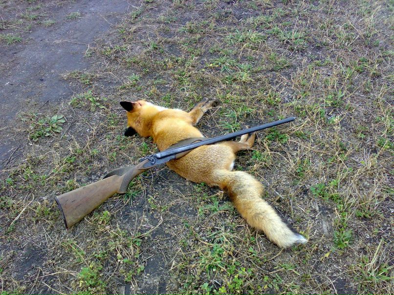 Валентин Бойко фотография #6