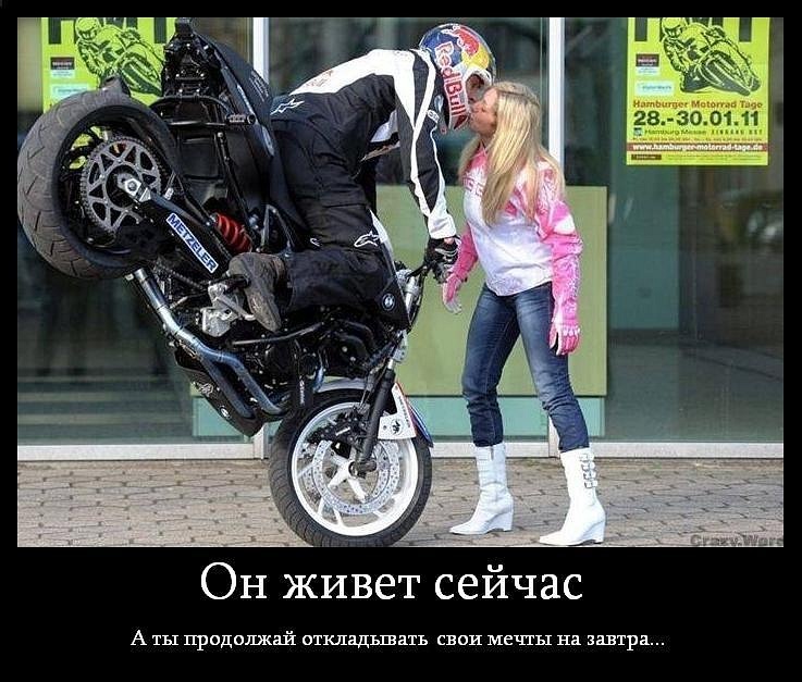 Дмитрий Малушин фотография #20