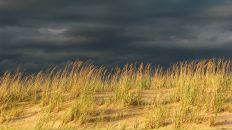 Эйно Роц фотография #10 (источник - https://vk.com/id119362)