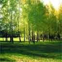 Аліна Мисюк фотография #25 (источник - https://vk.com/id67948561)