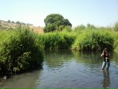 Irina Gitelman фотография #47 (источник - https://vk.com/id3282869)