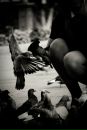Фотография Бабичук Олеси