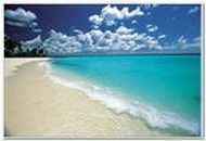 Фотография Трошовой Насти