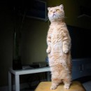 Ірочка Вереницька фотография #9 (источник - https://vk.com/id71455566)