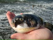 Фотография Аникеева Ярослава