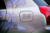 Виктор Кайсин фотография #16 (источник - https://vk.com/id779930)