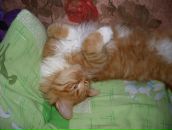 Фотография Титовой Любови