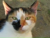 Фотография Воропай Алёны