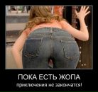 Дмитрий Зацепин фотография #17 (источник - https://vk.com/id2664635)