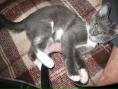 Дмитрий Акинин фотография #29 (источник - https://vk.com/id1788768)