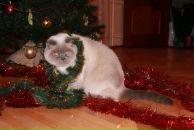 Фотография Ждановой Кати