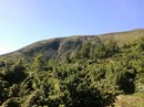 Оля Замулінська фотография #44 (источник - https://vk.com/id165146192)