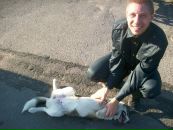 Фотография  