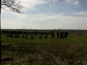 Євген Дундук фотография #19 (источник - https://vk.com/id11952598)