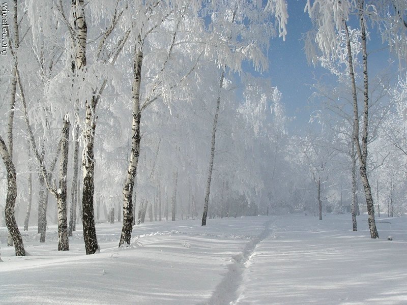 Дмитрий Ивченко фотография #32