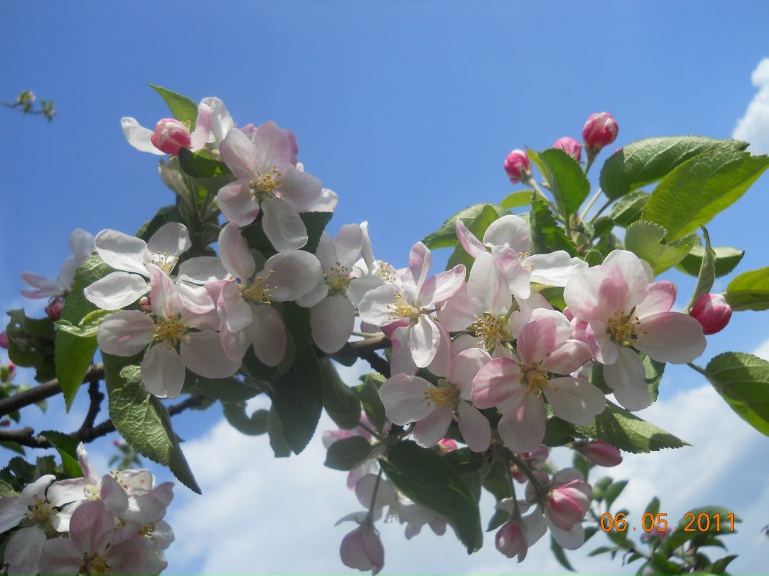 Дима Счётов фотография #8