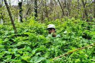 Фотография Балана Александра