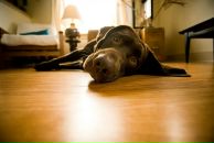 Фотография Панфилова Дмитрия