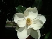 Фотография Маковецкий Константин