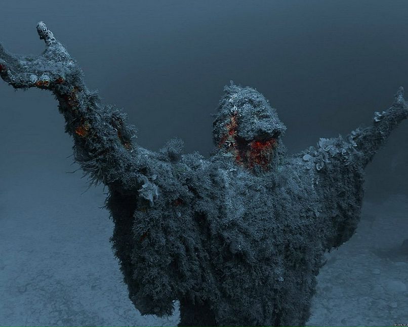 Дмитрий Бонго фотография #40