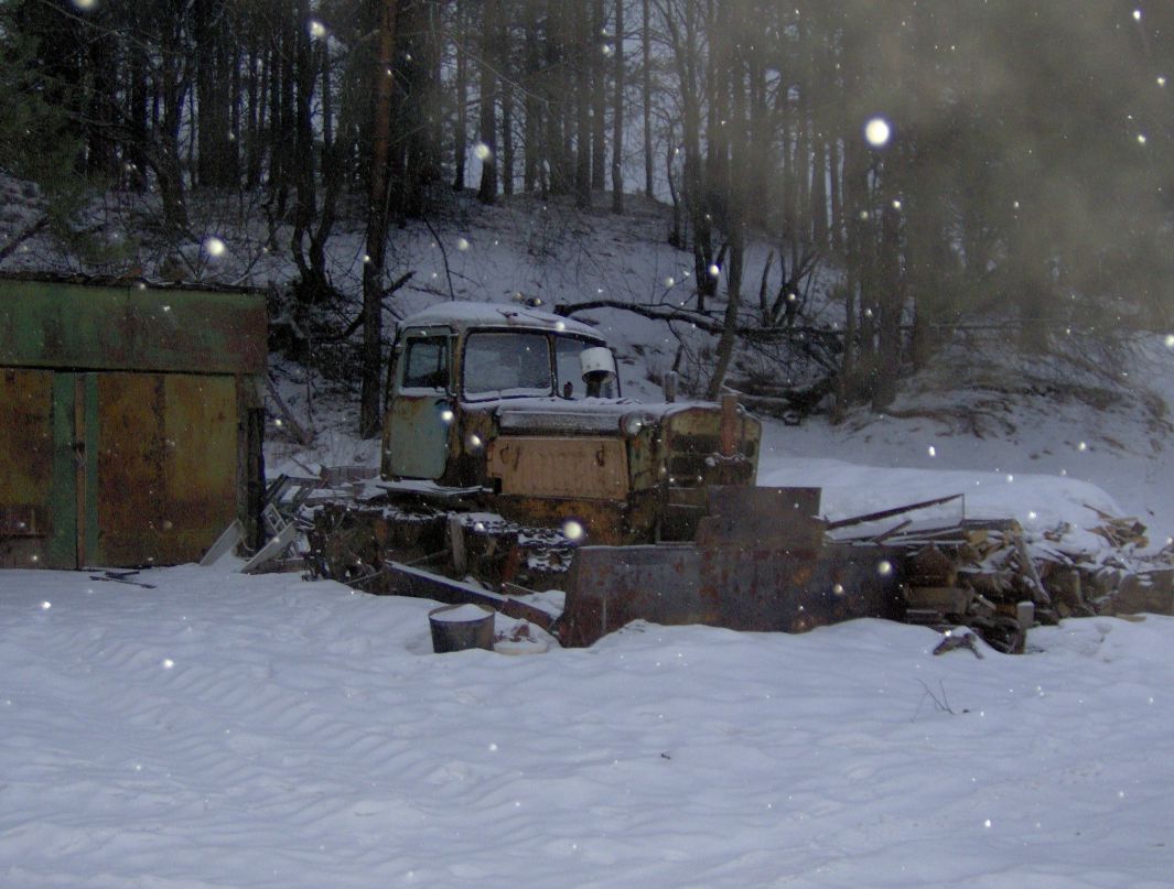 Andrey Dorofeev фотография #35