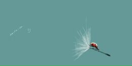 Василей Развасилей фотография #32 (источник - https://vk.com/id305097)