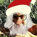 Фотография Соколова Дмитрия