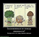 Фотография Эсси-Эзинга Константина