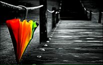 Фотография Зайферт Ирины