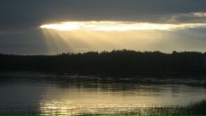 Фотография Петрова Дмитрия