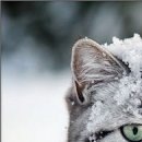 Юлія Онищенко фотография #11 (источник - https://vk.com/id99341648)