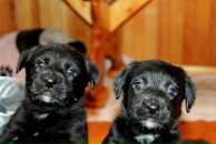 Ігор Онищук фотография #18 (источник - https://vk.com/id9064589)