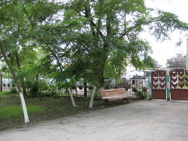 Алла Солнце, фото №18