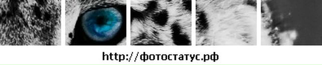 Аннет Valtera фотография #30 (источник - https://vk.com/id20125747)