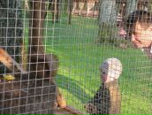 Ніна Жигимонт фотография #34 (источник - https://vk.com/id126579324)