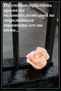 Ангелина Холева фотография #25 (источник - https://vk.com/id101156348)