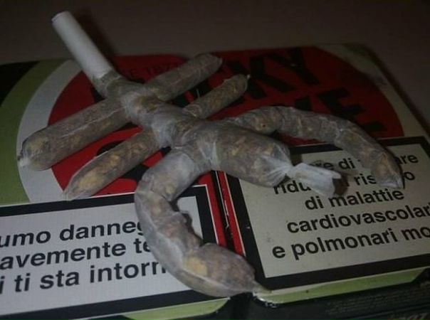 Ян Сётин фото №26