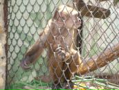 Фотография Джураева Радика