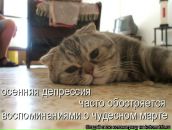 Фотография Барановского Евгения