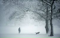 Фотография Ольшина Дмитрия