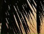 Ірина Прошак фотография #2 (источник - https://vk.com/id65645545)